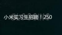 小米实习生招聘！250/天！留学生优先&餐补！世界 500 强offer!