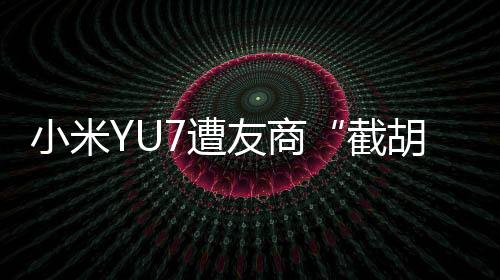 截胡相关新闻车主平均33岁