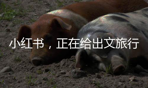 甚至超过了头部垂类OTA平台