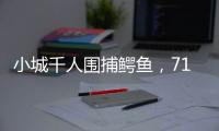 小城千人围捕鳄鱼，71条已全部查明和追回