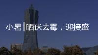 小暑┃晒伏去霉，迎接盛夏