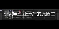 快排公司十年历程，霸屏兔 seo 的崛起与坚守