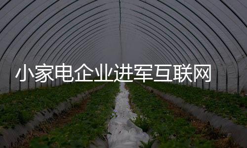 在“互联网”热潮下