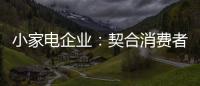 小家电企业
：契合消费者需求 打造品牌消费