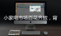小家电市场百花齐放，背后的安全隐患不容忽视。