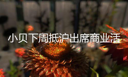 在与中超公司合作一年后