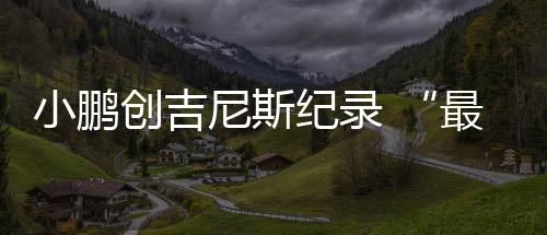 最大智能州车展在产品之外
