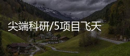 飞天节律和磁场变化条件下