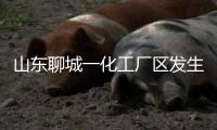 山东聊城一化工厂区发生爆炸
，致5死1伤1失联