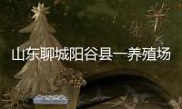 山东聊城阳谷县一养殖场发现炭疽病例，接触者已隔离治疗