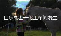 快排公司十年历程，霸屏兔 seo 的崛起与坚守