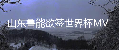山东鲁能是鲁能兰标其中一家