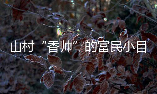 民小目标除了原材料交易