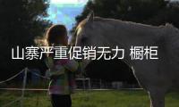 山寨严重促销无力 橱柜企业如何“逆袭”
？