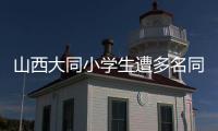 山西大同小学生遭多名同学辱骂、殴打、欺凌，官方通报