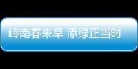 岭南春来早 添绿正当时！香洲区大街小巷植树忙