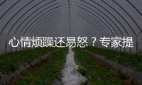 心情烦躁还易怒？专家提醒35℃以上当防“情绪中暑”丨硬核唠科