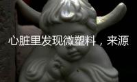 心脏里发现微塑料
	，来源耐人寻味