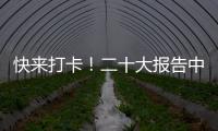 快来打卡！二十大报告中的新表述新概括新论断