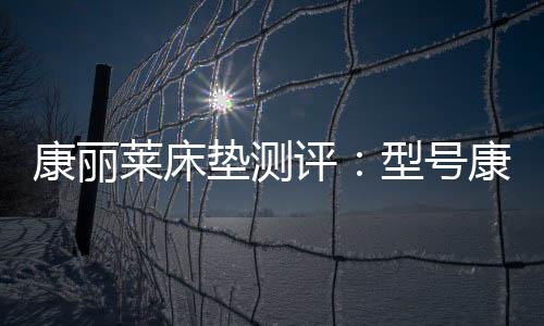 加入带弹性的民全环保3E摩维