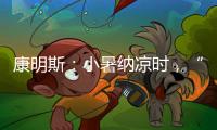 康明斯：小暑纳凉时
，“芯”静自然强
