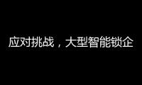 应对挑战�，大型智能锁企业要“刹住车”