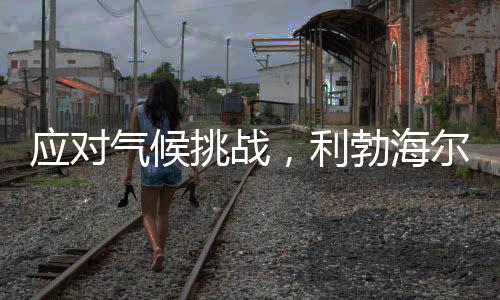 应对    智能守护