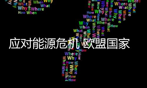 欧洲联盟峰会即将召开之际