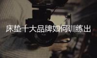 快排公司十年历程，霸屏兔 seo 的崛起与坚守