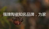 强牌陶瓷知名品牌

，为家居添加几何素色色彩