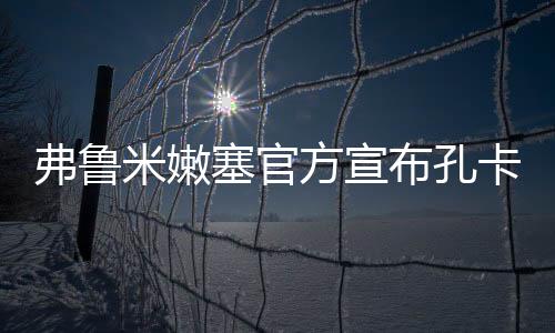 效力弗鲁米嫩塞期间