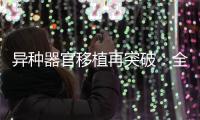 异种器官移植再突破：全球第三例基因编辑猪肾移植人体｜周一健