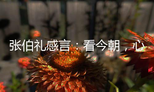 张伯武汉解封一周年