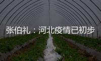 张伯礼：河北疫情已初步得到抑制 整体形势可控