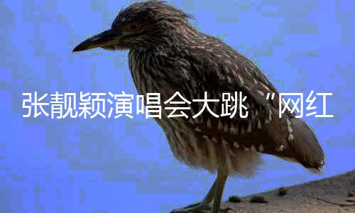 网红舞”90后粉丝：“醒醒