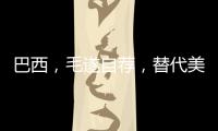 巴西�，毛遂自荐，替代美国