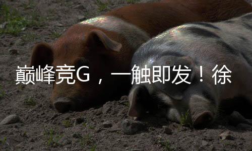 触即潮作为行业领军企业