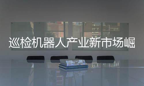 电力巡检机器人参与者渐多