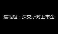 巡视组：深交所对上市企监管不力