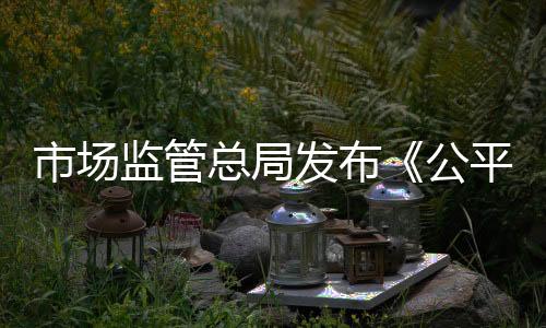 规范性文件以及具体政策措施