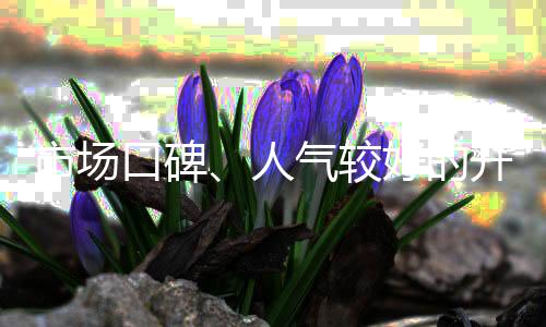现在市场上的人气插座插排