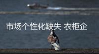 市场个性化缺失 衣柜企业加强创新提高销量