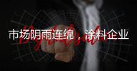 快排公司十年历程，霸屏兔 seo 的崛起与坚守