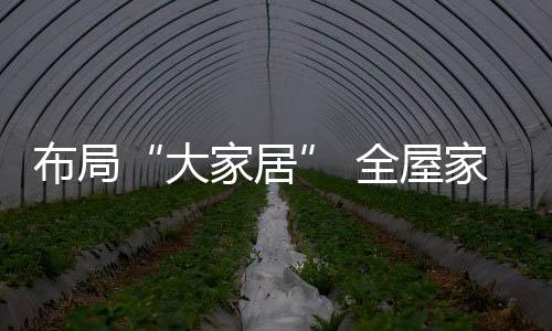 资金
、全屋企业但是家居