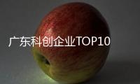 广东科创企业TOP10，硬气十足！