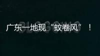 广东一地现“蚊卷风”！网友	：头皮发麻