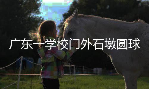 网友学生现在是质疑装放假了
