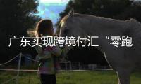 广东实现跨境付汇“零跑动”