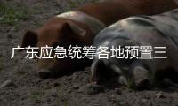 广东应急统筹各地预置三防抢险队伍240支、14806人