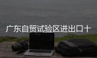 快排公司十年历程，霸屏兔 seo 的崛起与坚守